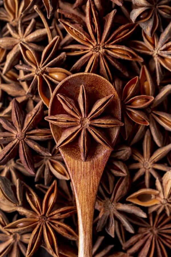 STAR ANISE - Image 2